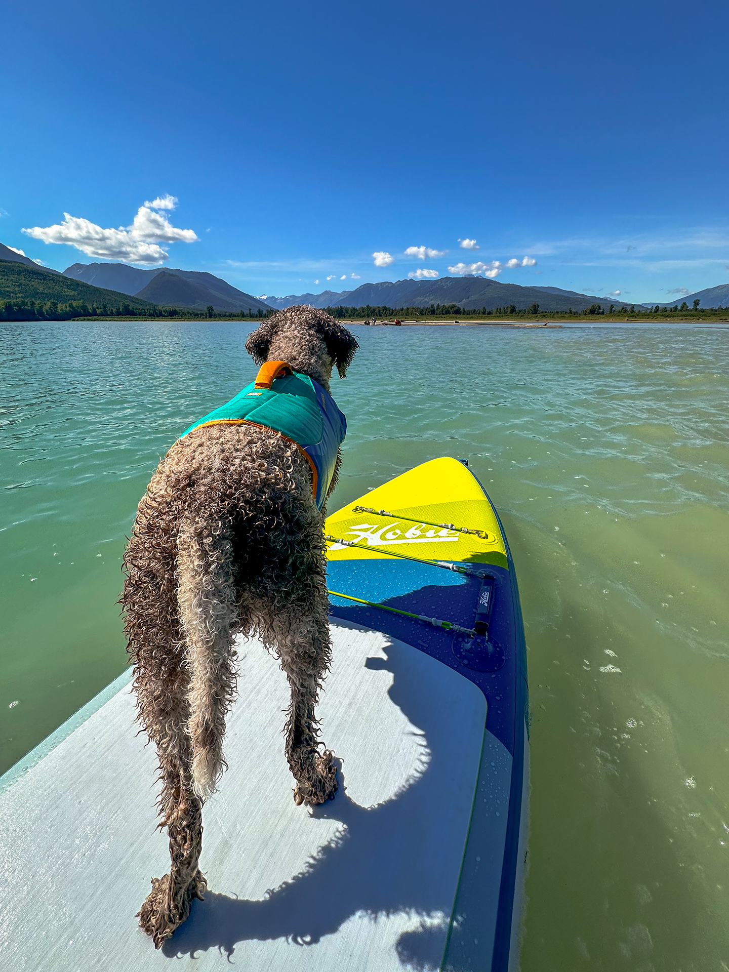 Neptune Paddleboarding at Kalum Lake