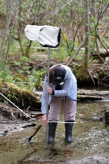 A student in the Disturbed Environments field school measures a creek bed.