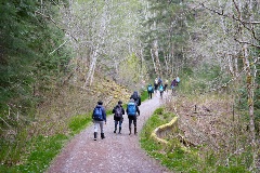 The field school class walks along a dirt road up a hill, with trees on either side.