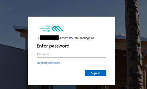 After registration, you will be prompted to enter your password during sign-in